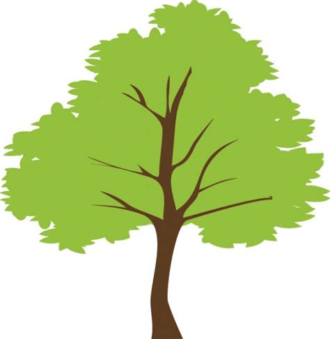 Simple Green Tree Vector Illustration Welovesolo