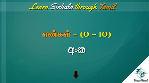 Learn Sinhala Through Tamil Lesson 10 0 10 Numbers எண்கள்