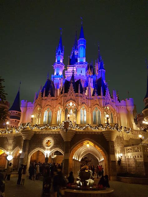Tokyo's Cinderella's Castle from the back : disney