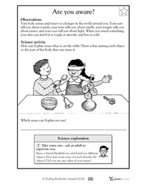 In this science worksheet, your child identifies whether the forces are being exerted to start movement or stop movement. five sense worksheet: NEW 989 FIVE SENSE ORGANS WORKSHEETS ...