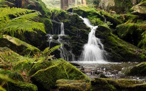 Download Wallpaper 3840x2400 Fern Rocks Moss Waterfall Water 4k