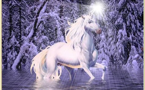 Unicorns Magical Creatures Wallpaper 7842114 Fanpop