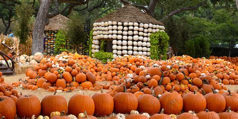 25 Fall Harvest Festivals Across America Fall Travel Ideas