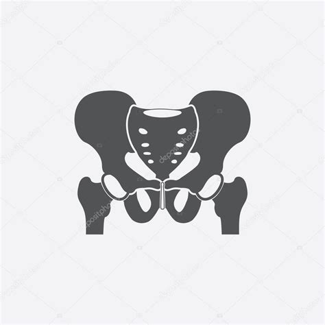 Hip Bone Icon Of Vector Illustration For Web And Mobile Stock Vector