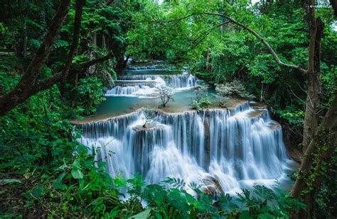 Prowincja Kanchanaburi Drzewa Park Narodowy Erawan Tajlandia