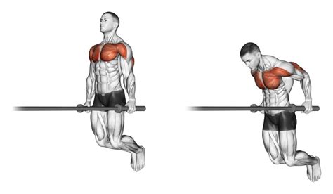 Perchè I Pettorali Non Crescono La Scienza In Palestra