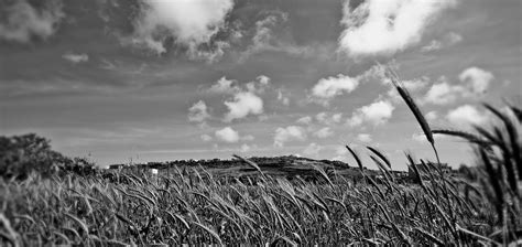 Black And White Fields Nicholas Abela 2010 Please View On Flickr