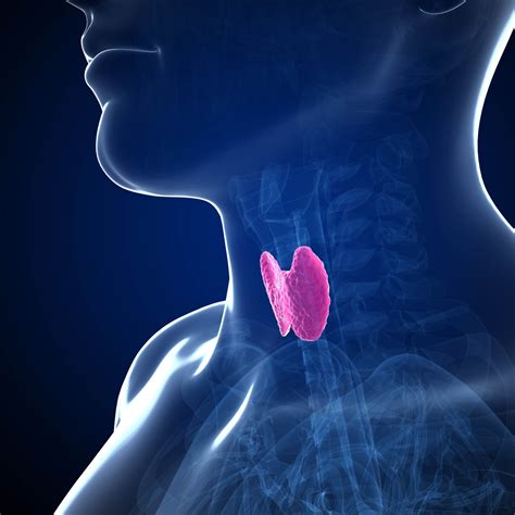Thyroid Gland Thyroid Nodules Neck Swelling Thyroid Cancer Hk Surgeon