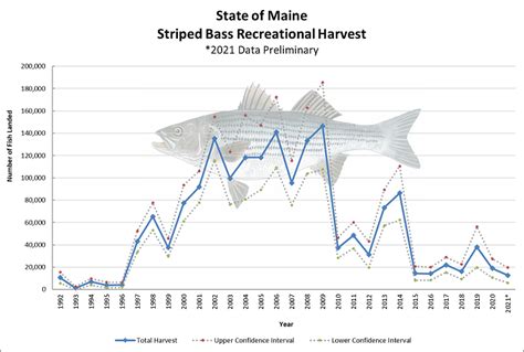 Recreational Landings Of Striped Bass Department Of Marine Resources