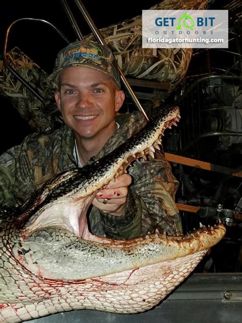 Airboat Gator Hunt Trophy Florida Gator Hunting By Get Bit Outdoors