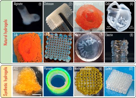 3d Bioprinting Examples Of Different Natural And Synthetic Hydrogels