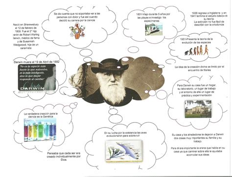 Ciencia Contemporanea Mapa Mental De Charles Darwin Images The Best Porn Website