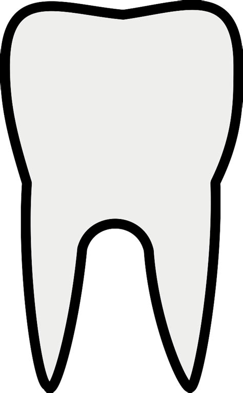 Tooth Molar Clip Art At Vector Clip Art Online Royalty