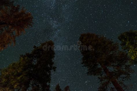 Scenic Night Sky Over A Campground In The Yosemite National Park Stock