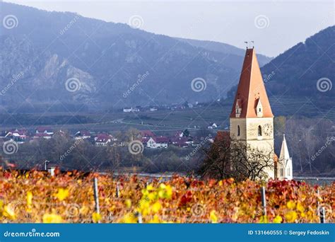 Weissenkirchen Wachau Valley Autumn Colored Leaves And Vineyards On A