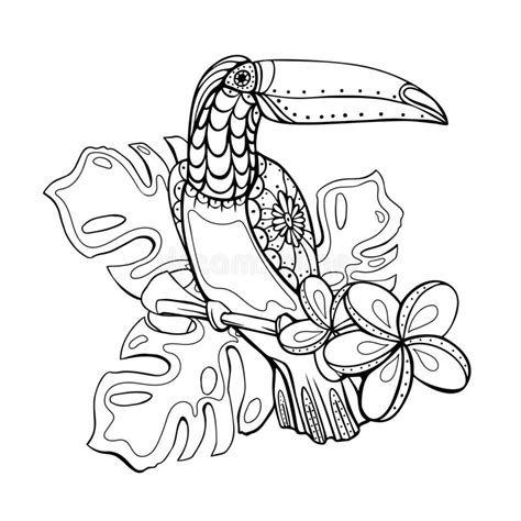 A cute toucan on the brunch with ornaments image for relaxing. Toucan Coloring Page. Cute Tropical Bird Sitting On A ...