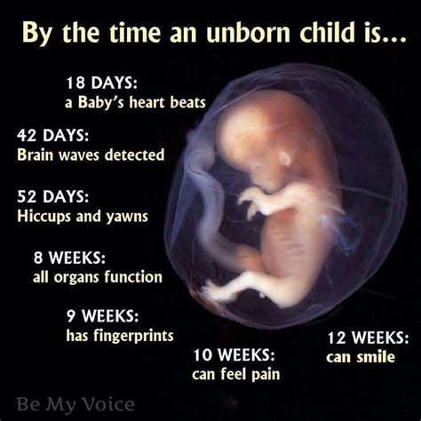 Unborn Baby Poems And Quotes. QuotesGram