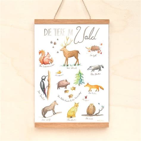 Ihre suche nach „weltkarte kinder. Poster Waldtiere DIN A3 | Tierbilder für kinder, Waldtiere ...