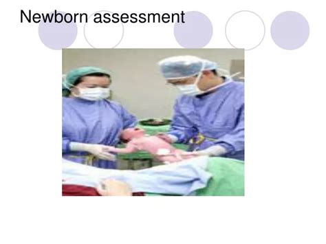 Ppt Newborn Assessment Powerpoint Presentation Free Download Id