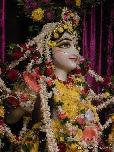 Charming Flower Dressing Of Sri Sri Radha Madhava At Iskcon Mayapur On