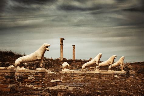 Terrace Of The Lions Delos Greece Those Lions Are Among Thousands Of