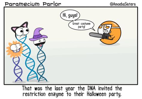 20 Funny Dna Jokes And Pick Up Lines With Explanations