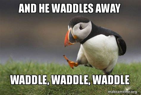 and he waddles away waddle waddle waddle unpopular opinion puffin make a meme