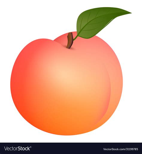 Fresh Peach Icon Cartoon Style Royalty Free Vector Image