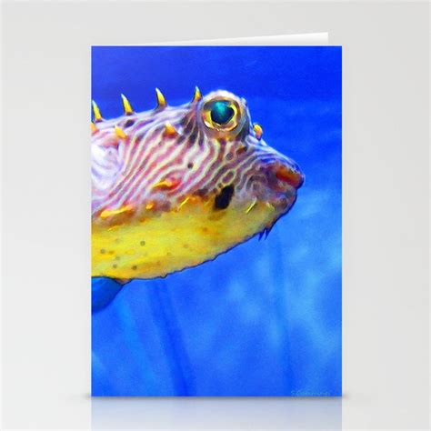 Magic Puffer Fish Art By Sharon Cummings Stationery Cards By Sharon