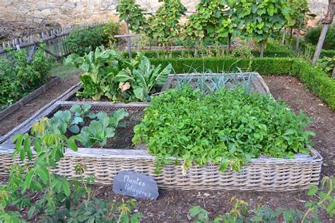 Your Potager Making A French Kitchen Garden Eye Of The Day Garden