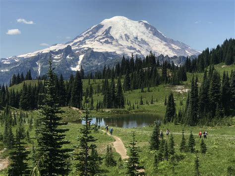 Planning For Paradise Your Input On Mount Rainier S Future Washington Trails Association