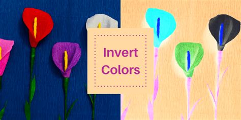 How To Invert Color In Adobe Illustrator Vectors And Images