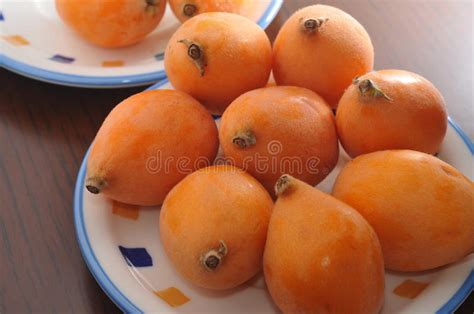 Loquat Stock Image Image Of Sweet Flavor Dessert Loquat 56356355