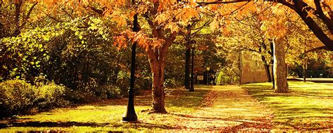 Autumn Scents Can Energize Staff Decrease Stress And Increase Sales