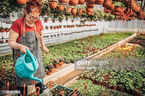 Lady Watering Plants On Flower Farm High Res Stock Photo Getty Images