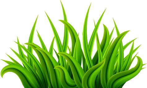 Hierba Png Images Icon Cliparts Grass Hill Clipart Impresionante My