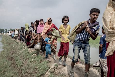 Bangladesh Delays Repatriation Of Refugees To Myanmar Financial Tribune