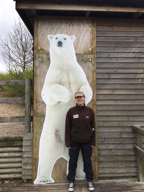 We Donated This Polar Bear Image—taken During A Polar Sea Icebreaker