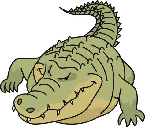 Nile Crocodile Alligator Saltwater Crocodile Clip Art Crocodile Png
