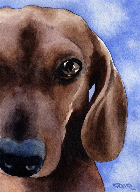 Dachshund Art Print By Watercolor Artist Dj Rogers Etsy