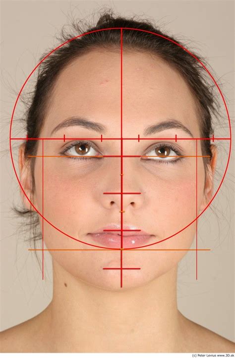 Como Dibujar Un Rostro Humando Portrait Drawing Face Proportions
