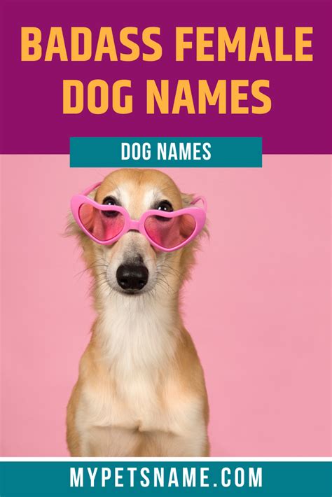 Badass Female Dog Names Female Dog Names Dog Names Pet Names