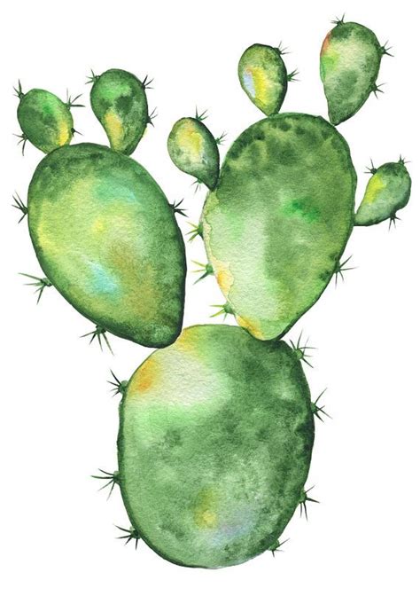 When your christmas cactus blooms too early. Cactus Watercolor Clipart, Blossom Succulents, Hand ...