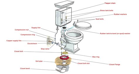 There are a lot of options for how to install a basement toilet. How to Install a Toilet | Bathroom sink drain, Toilet ...