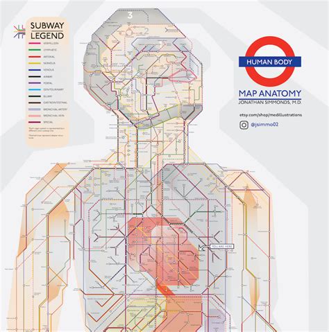 the human body as a tube map information society subway map map anatomy