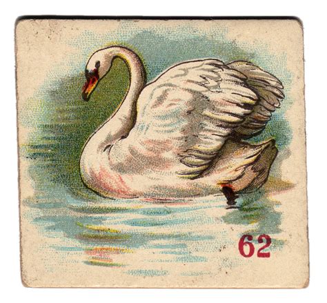 Free Victorian Clip Art Beautiful Swan The Graphics Fairy