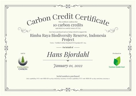 Anatomy Of A Carbon Credit Cart Certificate EcoSoul Partners Climate Action For Business
