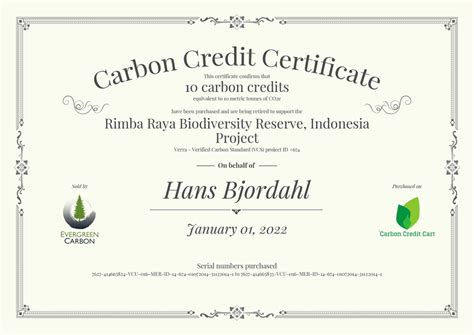 Anatomy Of A Carbon Credit Cart Certificate Ecosoul Partners Climate Action For Business