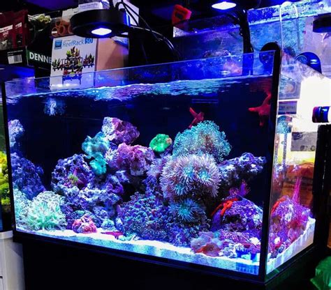 Dennerle trocal t5 special plant. Freshwater aquarium led lighting guide