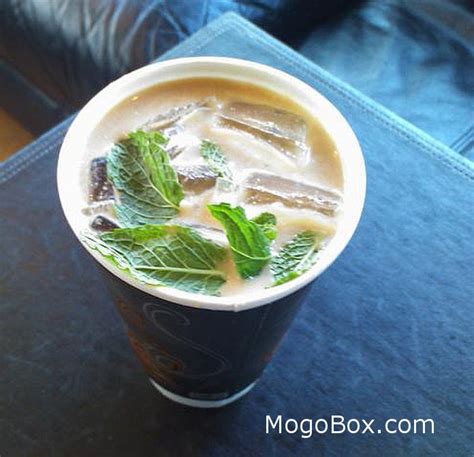Fresh Mint Iced Coffee Mogobox